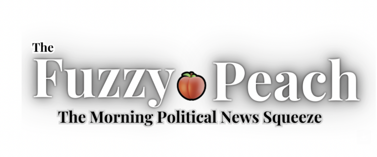 Dome Politics/The Fuzzy Peach